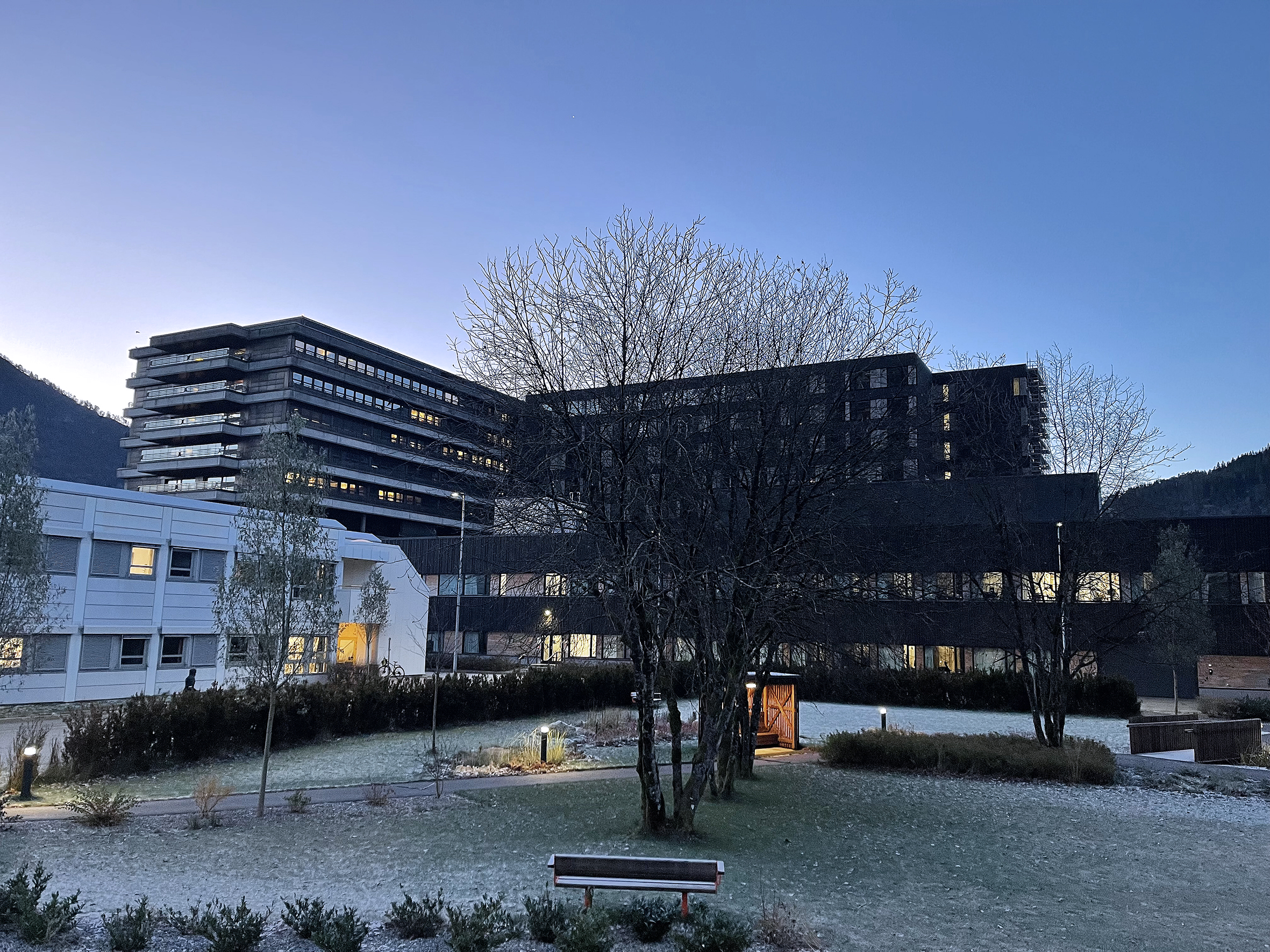 Ein bygning med eit tre framfor seg.