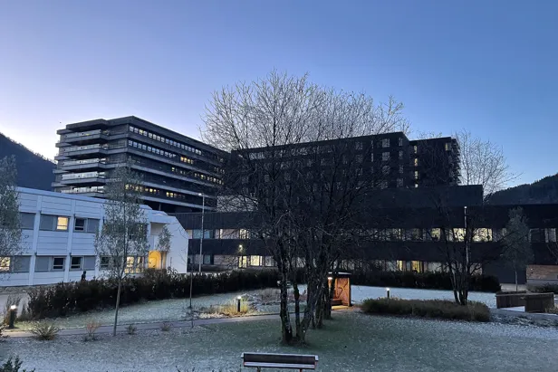 Ein bygning med eit tre framfor seg.