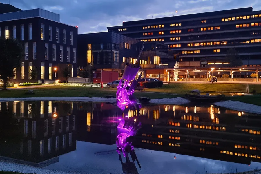 Kveldsstemning ved dammen framfor Førde sentralsjukehus.