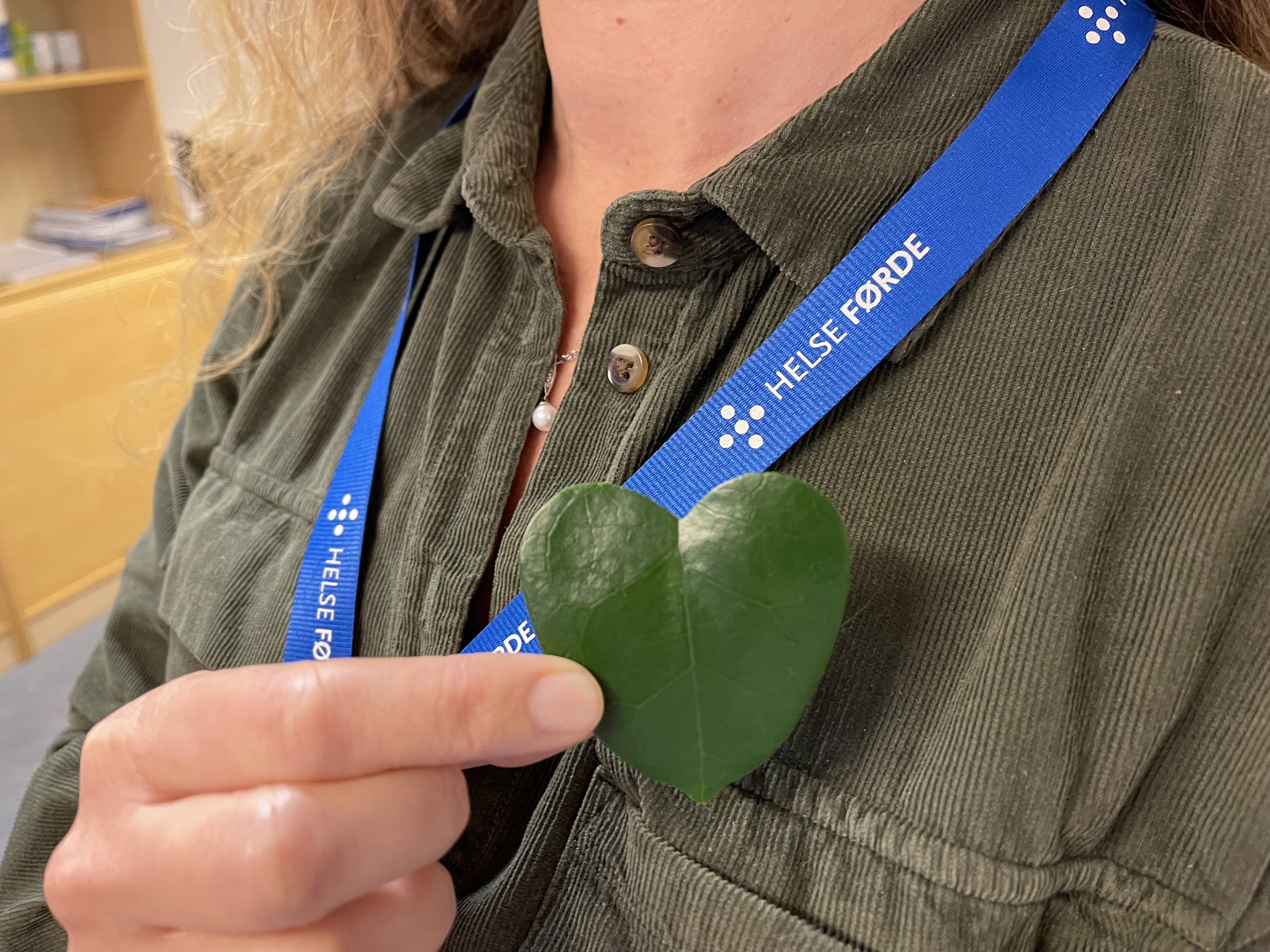 En person som holder et grønt blad